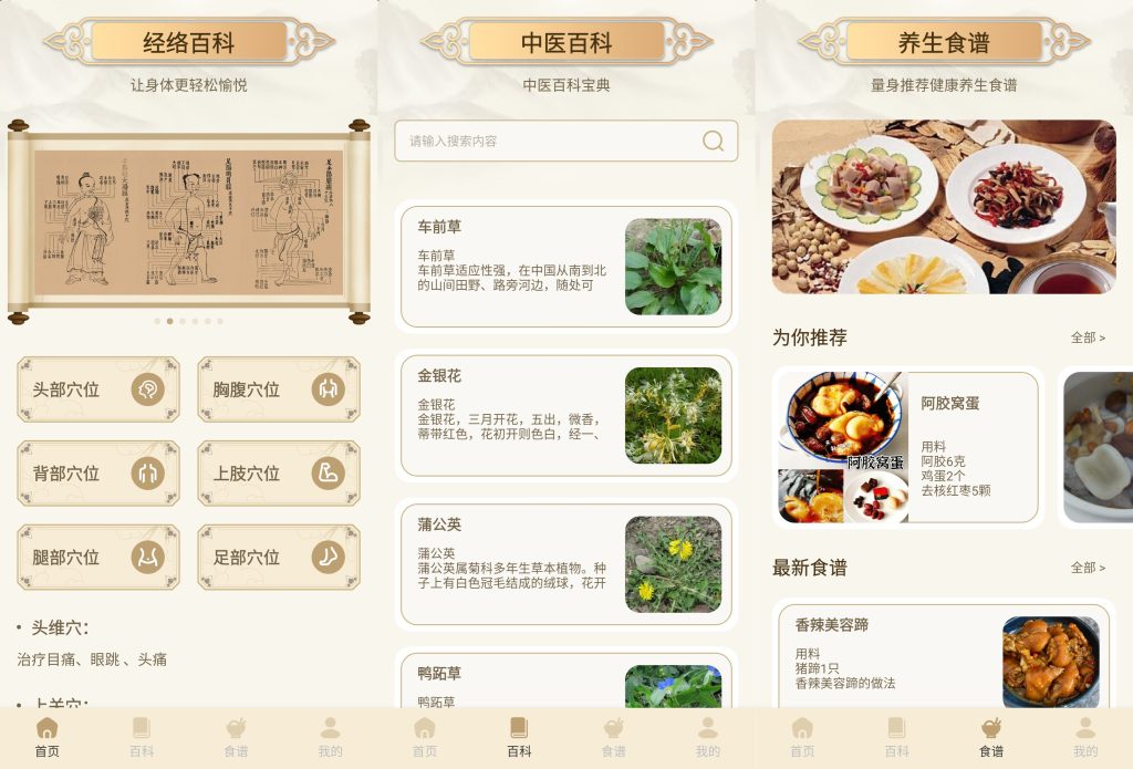 图片[1]-中医经络穴位典籍 v1.1 解锁会员去广告，专业中医学习的掌上宝典