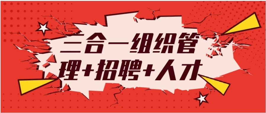 团队管理3大核心技能：三合一组织管理+招聘+人才