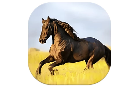 YourTV 你的电视TV v1.8.3 清爽版，电视随身看，追剧更自由