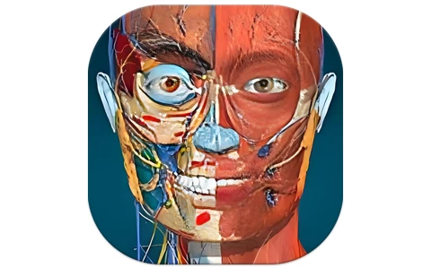 Anatomy Learning v3.1.467 高级版，3D交互式解剖学习神器