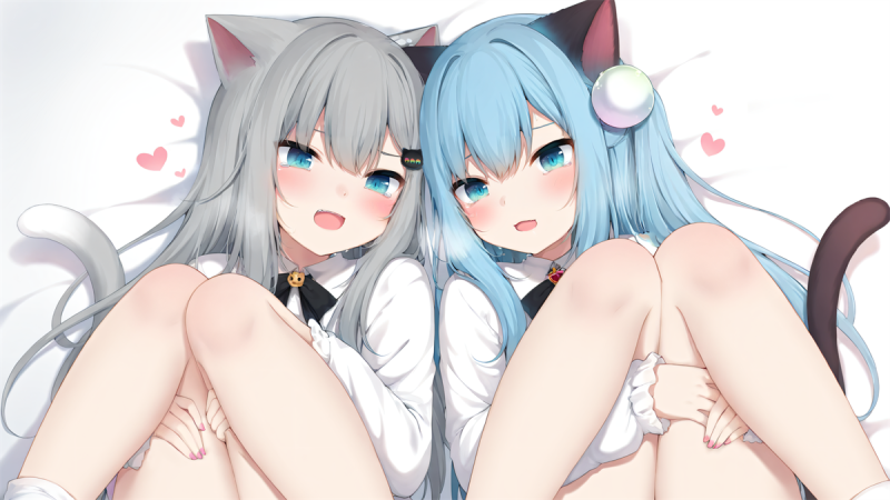 𝑾𝒂𝒍𝒍𝒑𝒂𝒑𝒆𝒓 精选壁纸丨8月7号-猫羽雫篇【静态+动态】