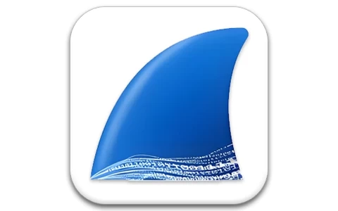 Wireshark v4.4.9 绿色便携版 网络数据抓包分析利器
