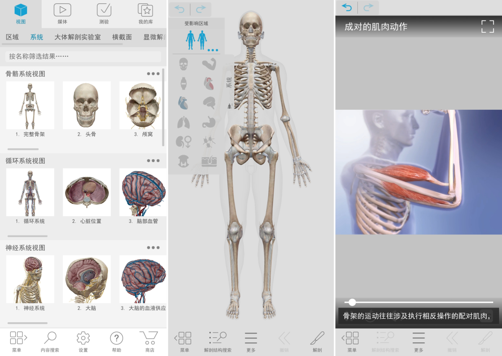 图片[1]-Atlas v2026.00.019 解锁高级版，3D解剖图谱带你直观了解人体构造