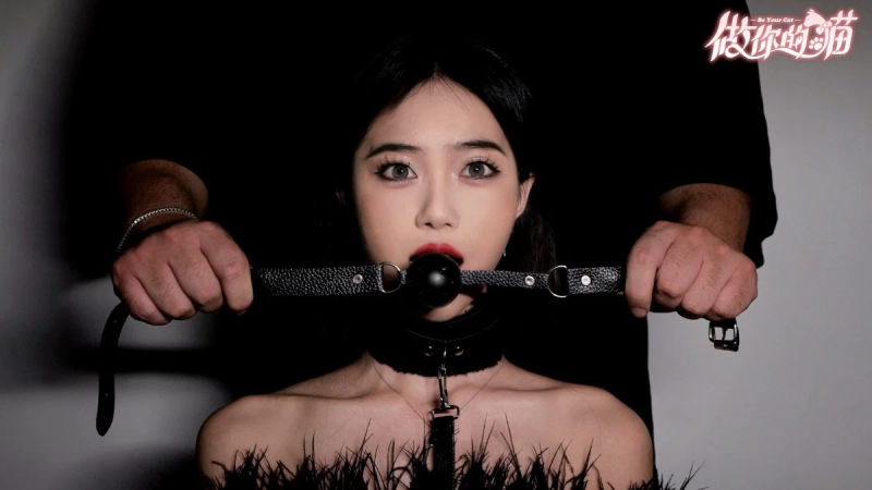 做你的猫 Build.15705240 中文版，附身于猫咪窥探六位风格迥异女性的秘密-资源社 - 分享优质实用软件、教程