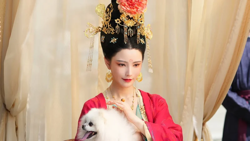 女王的游戏：盛世天下 媚娘篇 Build.22921822 中文版，体验步步惊心的宫廷生存之道-资源社 - 分享优质实用软件、教程